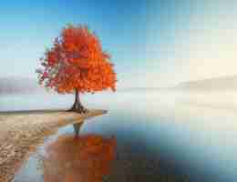 api脚﻿本﻿导‌入‍数‌据﻿